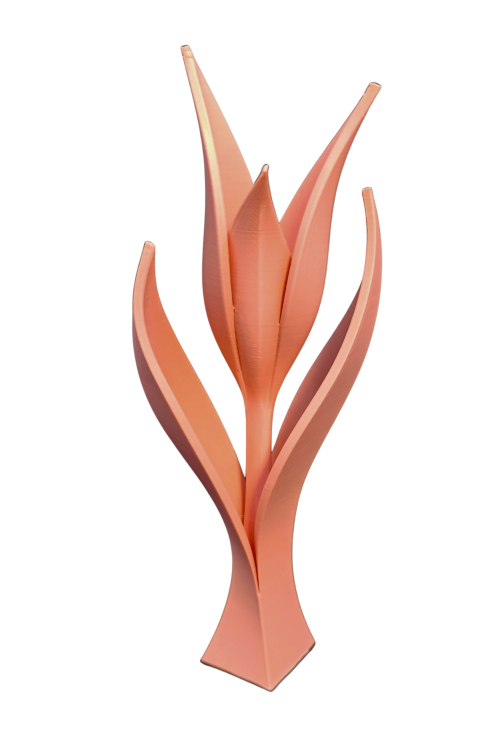 af8f8e24-aaa4-492e-9a17-28b6c0e8b5d1.png
